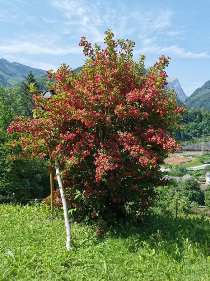 Ferienwohnung Im Nationalpark Gesaeuse Hieflau Eksteriør bilde