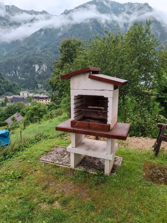 Ferienwohnung Im Nationalpark Gesaeuse Hieflau Eksteriør bilde